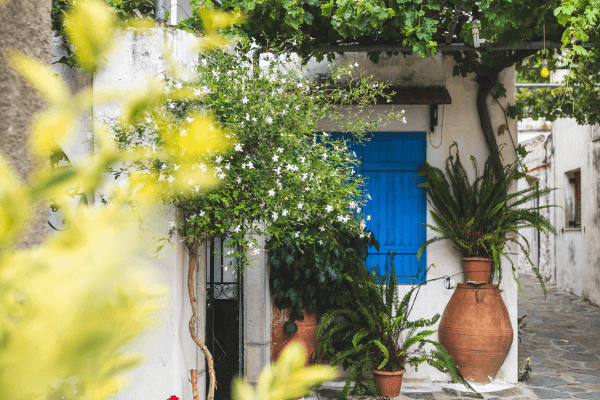 Como Criar um Jardim Vertical em Casa